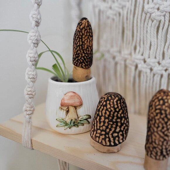 Mixed set of Carved Morel Merchrooms Variety Pack Plant Stake Decor Mushroom - Picture 7 of 11